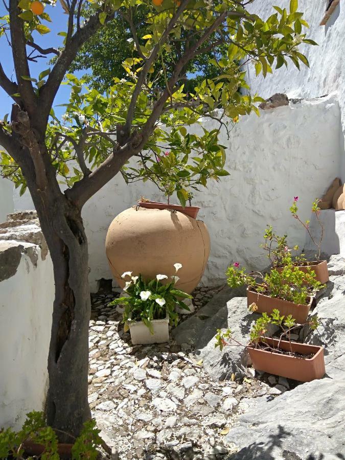 Conjunto Rural Casa Victoria Pensionat Villaluenga Del Rosario Exteriör bild