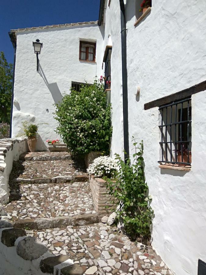 Conjunto Rural Casa Victoria Pensionat Villaluenga Del Rosario Exteriör bild