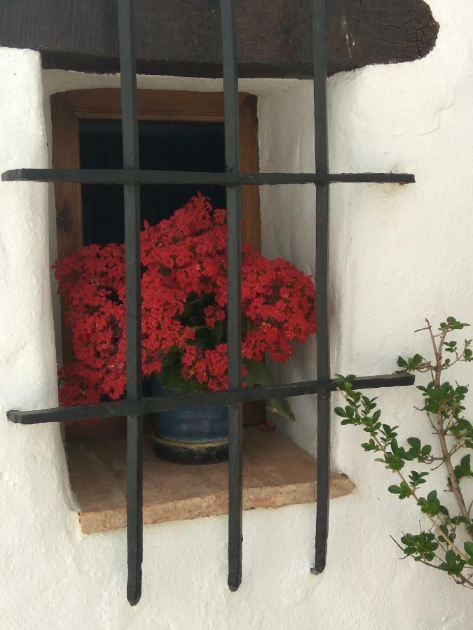 Conjunto Rural Casa Victoria Pensionat Villaluenga Del Rosario Exteriör bild